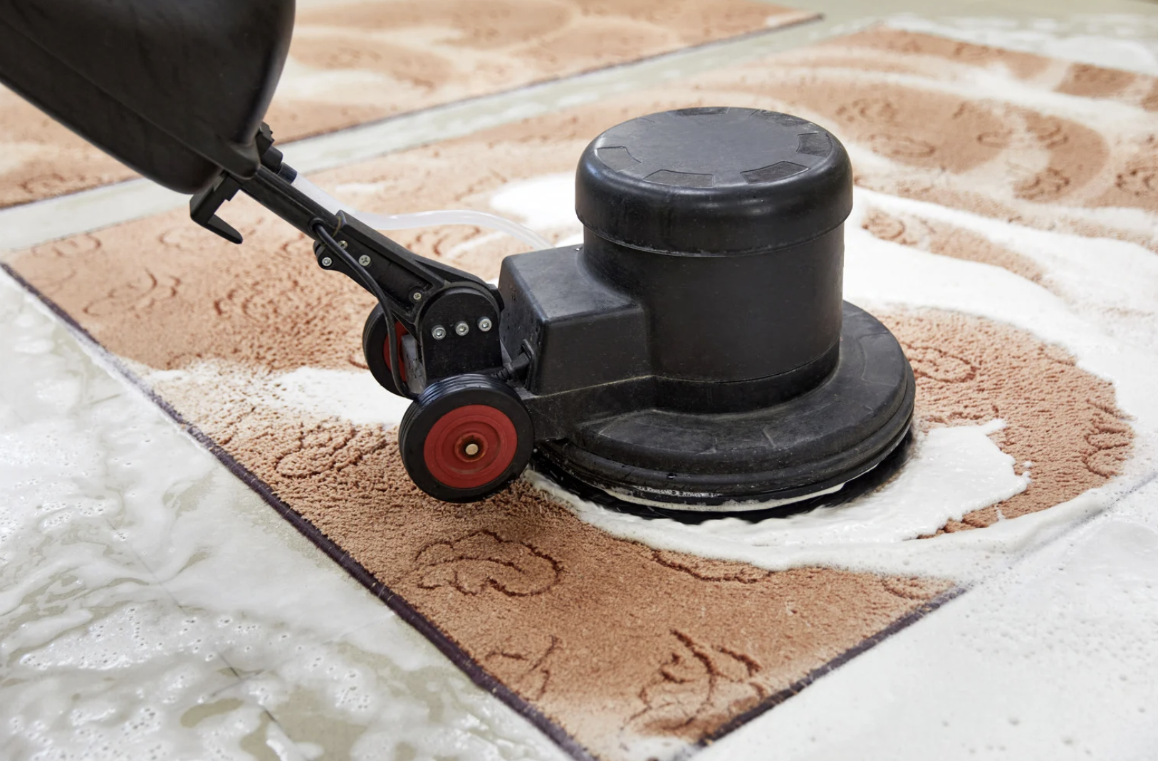 Rug cleaning in action Rug cleaning in action